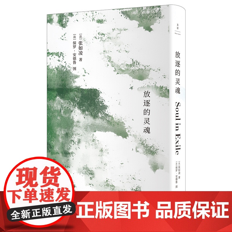 放逐的灵魂 张如凌诗歌选集上海人民出版社 另著中国红/法国蓝/红蓝如凌 中国现当代诗歌高清大图