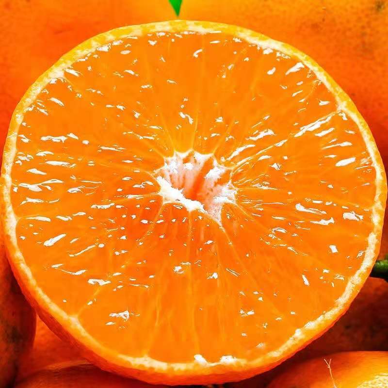 [鲜贝达]精选武鸣沃柑5斤装[单果70mm以上] 橙子水果图片