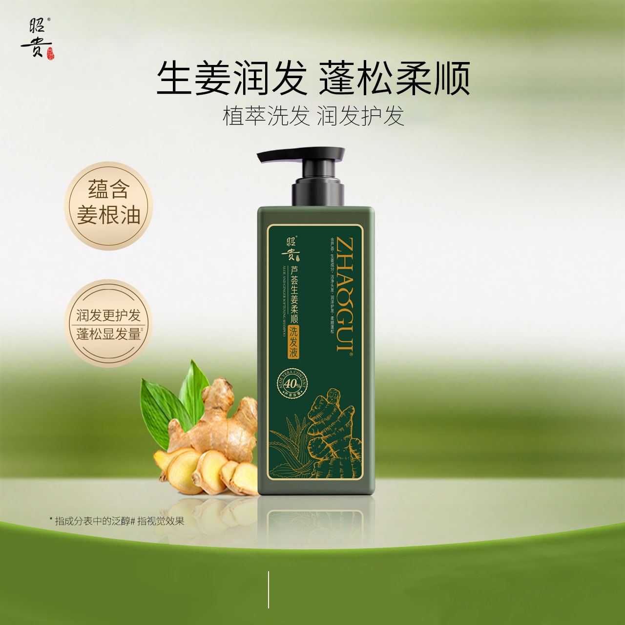 昭贵 芦荟生姜柔顺洗发液 净含量600g