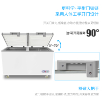 乐创（lecon）698L卧式冰箱商用冰柜双门冷柜冷冻柜冷藏柜保鲜柜 商用雪糕柜小冰柜饮品柜平冷岛柜冰柜双温 全冷冻