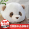 [央视网] 坐姿熊猫玩偶 浅棕 四川人民出版社有限公司 以可爱的熊猫形象制作出的毛绒玩偶 WX