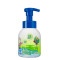舒肤佳(Safeguard) 儿童泡沫洗手液 巧虎甜瓜派对280ml