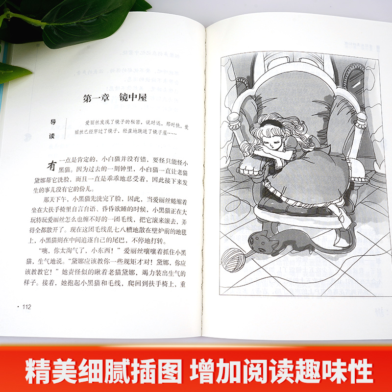 六下 爱丽丝漫游仙境 [正版]爱丽丝漫游奇境梦游仙境彩插励志版六年级课外书必读阅读经典名著儿童文学班主任小学生读物丛书6高清大图