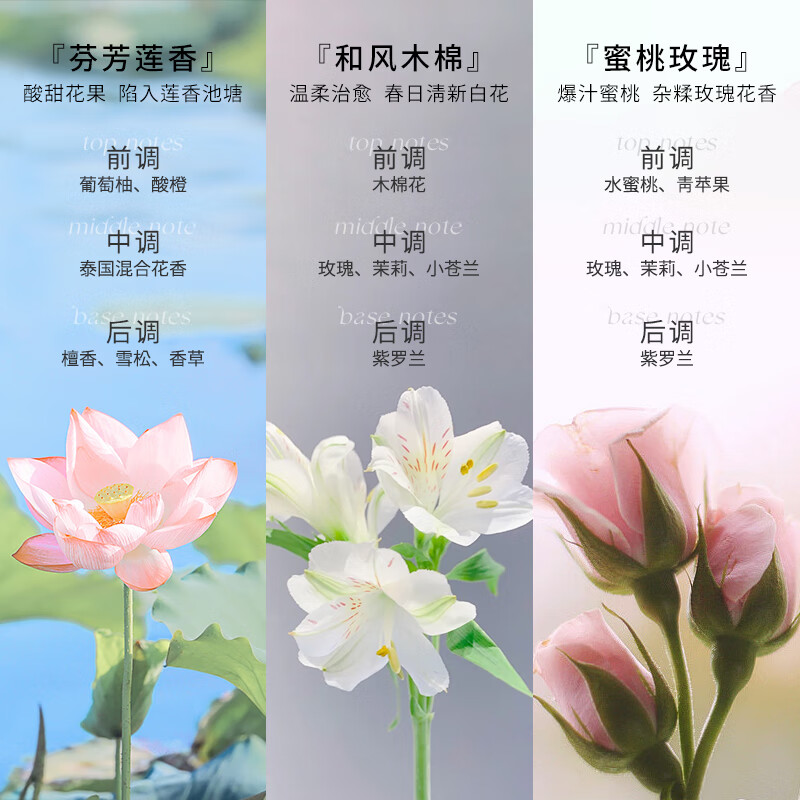 芝芙莲内衣裤洗衣液清洁液去血渍污渍持久留香(蜜桃玫瑰500ml+和风木棉500ml)高清大图