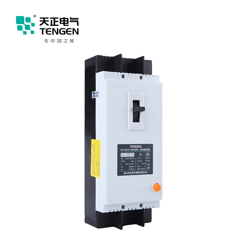 天正电气 DZ15LE-100 5KA热磁式 63A 2P手动固定式 380V 01020010023塑壳漏电保护断路器