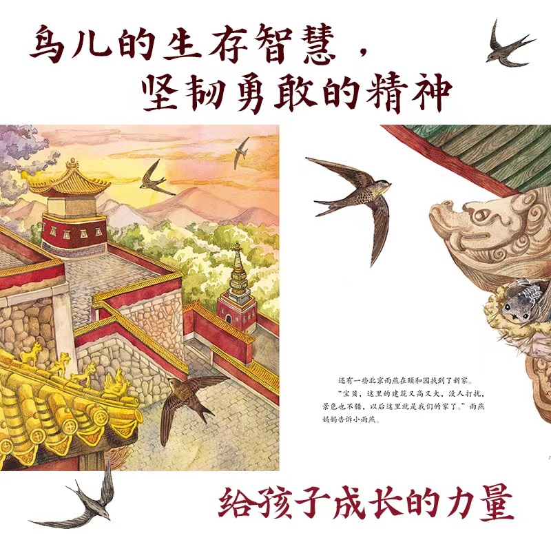 共4册 [正版]我的飞鸟朋友 你如此勇敢 全4册 保冬妮 丹顶鹤的旅程 北京雨燕的新家 寻找绿孔雀 朱鹮回故乡 以中国珍高清大图