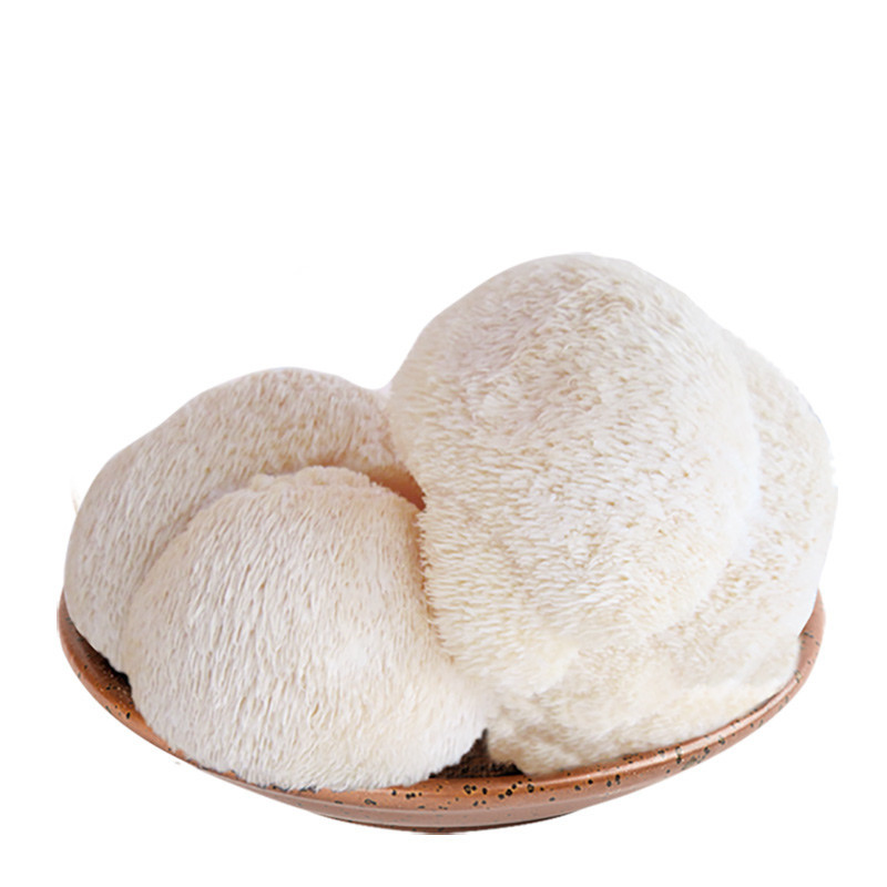新鲜猴头菇 东北猴姑 海林新鲜蔬菜 顺丰航空冷链 1kg(2斤)
