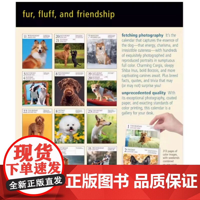 2026年画廊日历 狗 Workman Calendars 著 生活方式高清大图