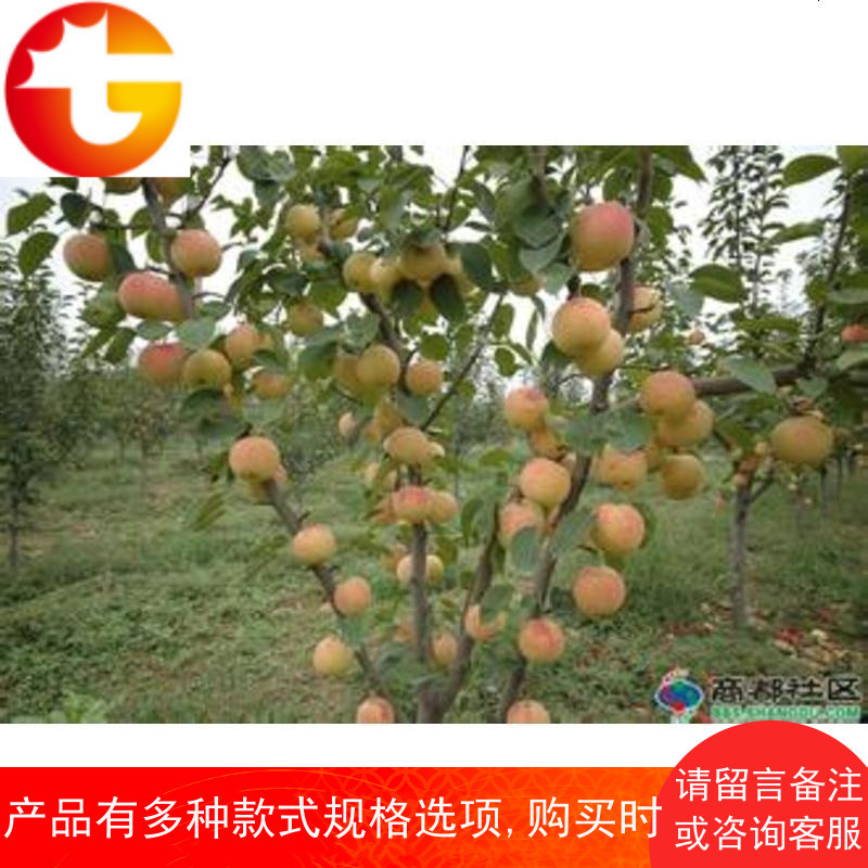 纯牛粪发酵有机草坪肥料蔬菜花肥树肥农家肥种菜植物通用喂蚯蚓
