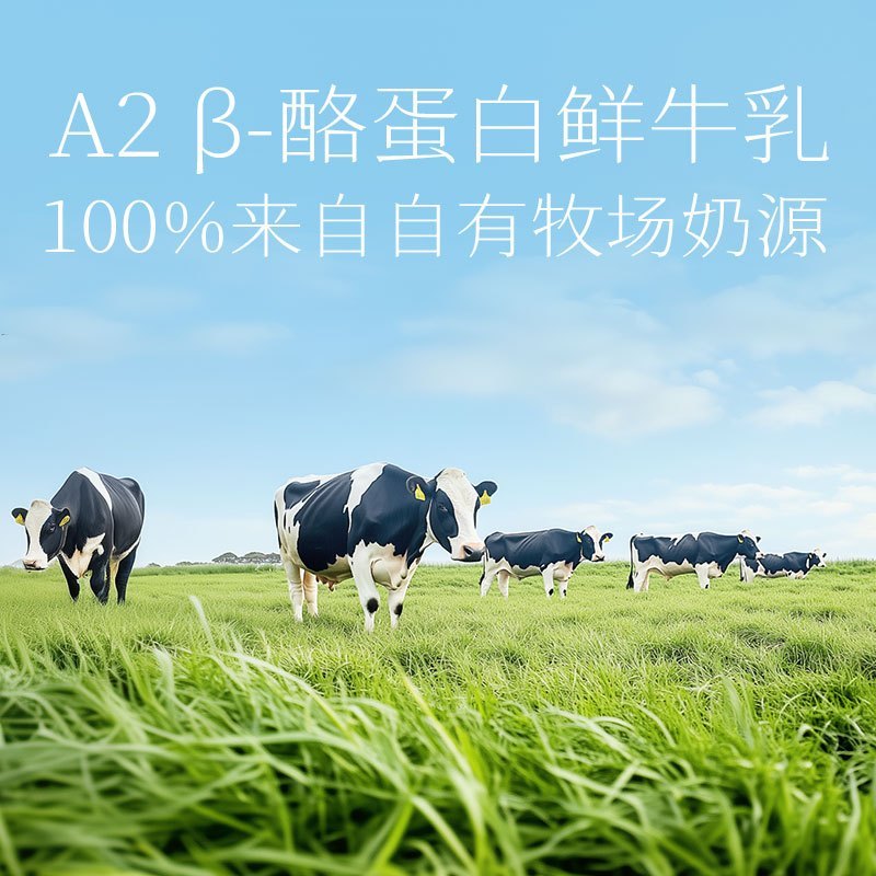 认养一头牛A2鲜牛乳冰爽系列玫珑蜜瓜味冰淇淋10支