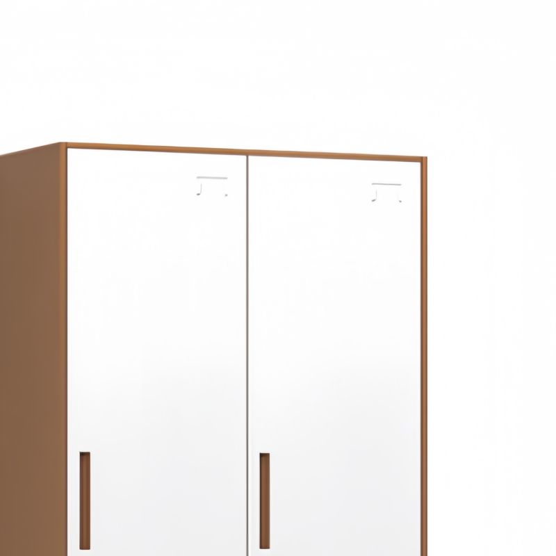 鑫龙都更衣柜二门高清大图