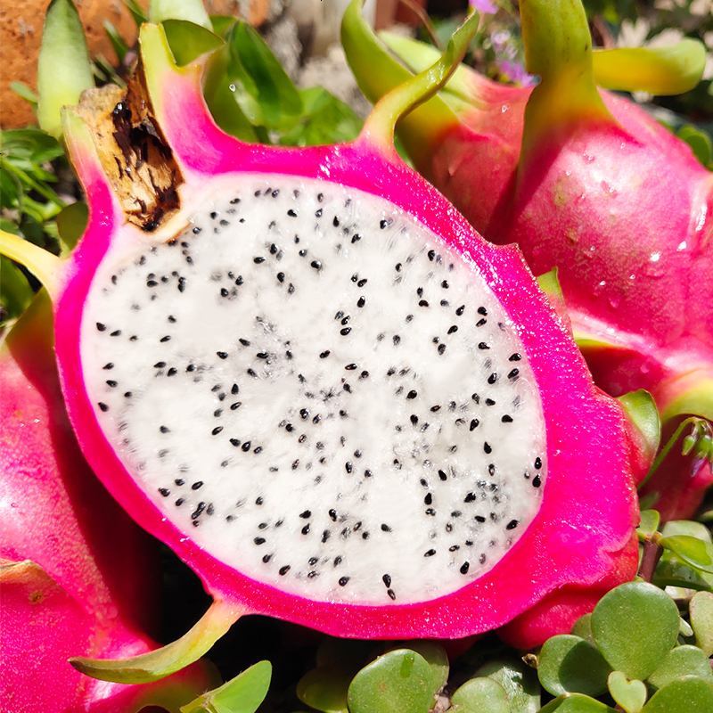 越南进口火龙果白心大果10斤带箱批发孕妇水果新鲜当季非红心