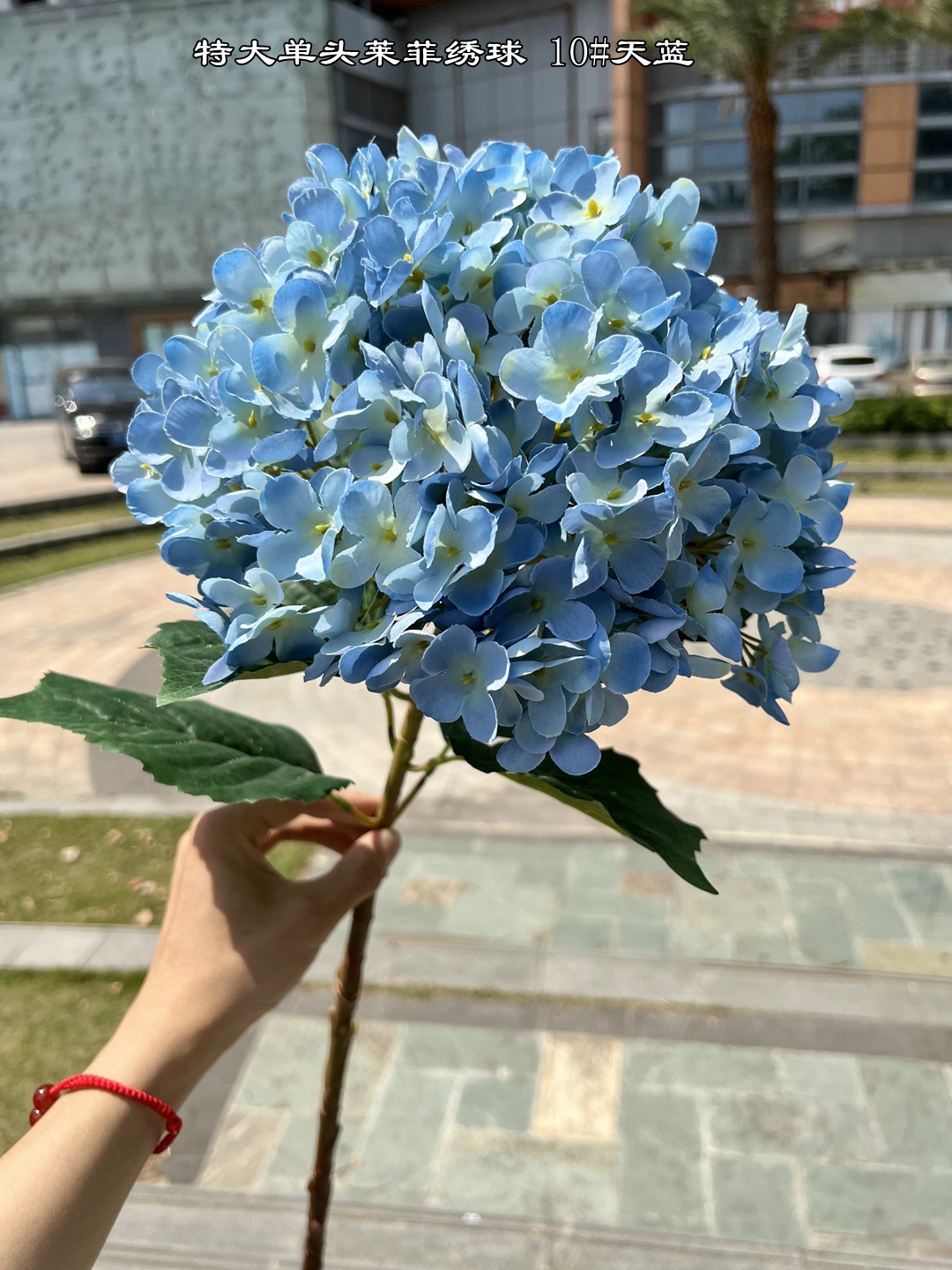 小窝厘 高仿真大绣球花特大单头莱茵绣球假花装饰 单个花头直径30cm 天蓝高清大图