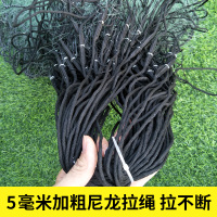 鼎立(DINGLI) 鱼网丝网渔网粘网沾网三层渔网沉网挂网挂子丝网绿色丝网水库大鱼网进口丝网渔网渔具