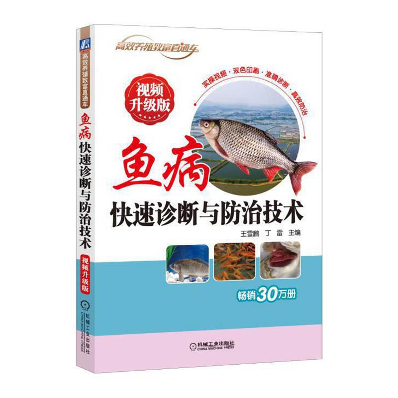 [醉染正版]鱼病快速诊断与防治技术 视频升级版 养鱼疾病书搭高效池塘养鱼书籍技术养殖鱼病图谱水产淡水鱼书如何养鱼资料书饲高清大图
