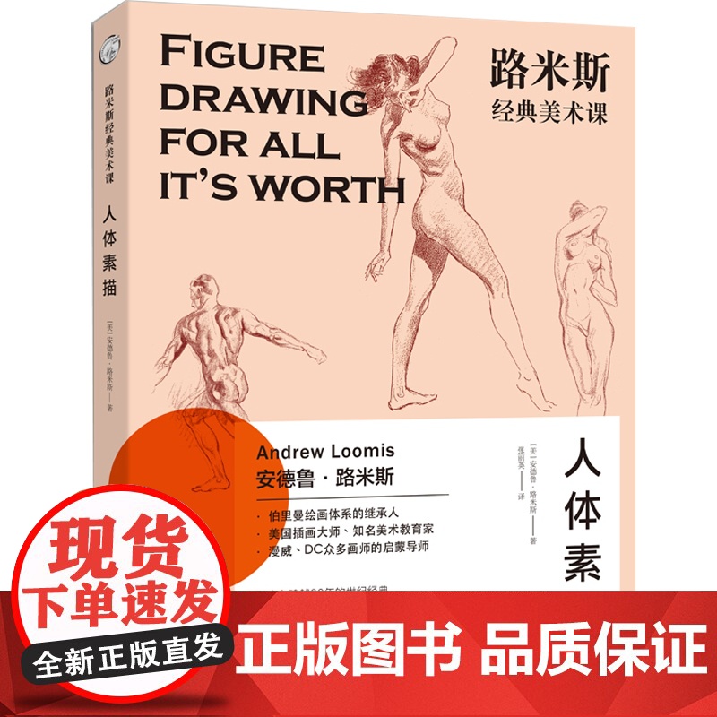 正版 路米斯经典美术课-人体素描 安德鲁路米斯 西方经典美术技法译丛 西方人体静物写生素描绘画美术艺术教程 上海人民美术高清大图