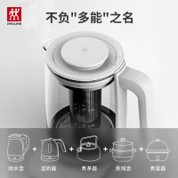 双立人(ZWILLING)Enfinigy养生壶家用多功能mini小型煮花茶壶煎药