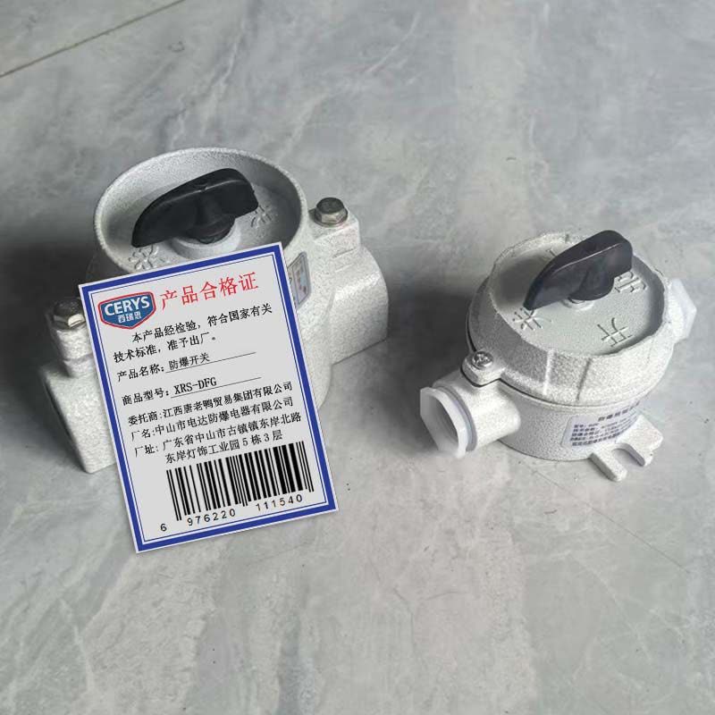 西瑞思 防爆开关 防爆照明开关 XRS-DFG 个图片