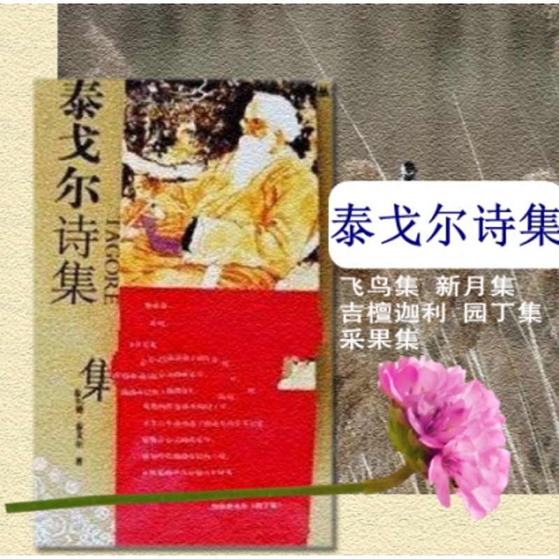 [正版]泰戈尔诗集全集飞鸟集中英对照 新月集 吉檀迦利 园丁集 采果集 外国诗歌 书籍 泰戈尔散文诗全集 生如夏花高清大图