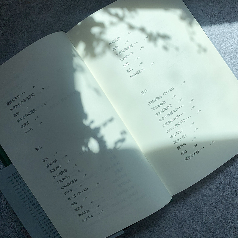 浪游者 [正版]书籍 浪游者 巴别塔诗典系列精装本 经典诗歌经典翻译 荷尔德林各时期代表作 德语翻译家林克翻译 外国诗歌高清大图