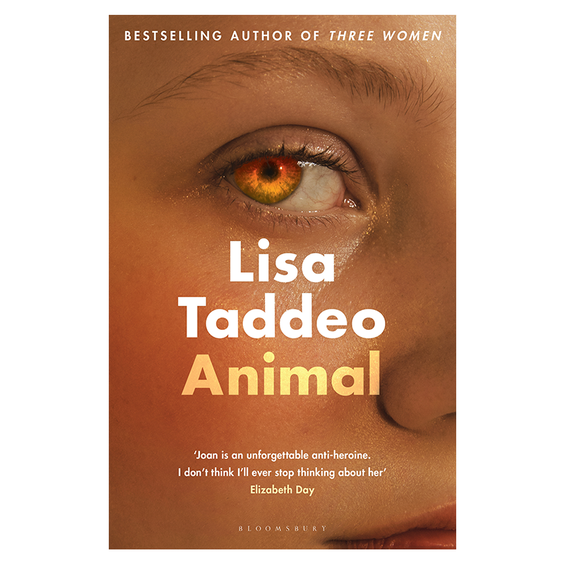 [正版]动物 英文原版 Animal 三个女人作者Lisa Taddeo作品 丽莎塔迪欧 女性的愤怒 惊悚小说 搭萤高清大图