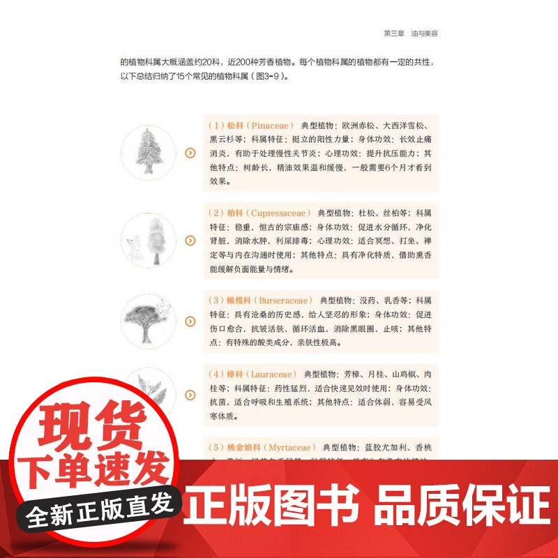 科技.探索生活中油的奥秘美好生活由此而来汪勇张宁出版年份2022年最新印刷2022年10月版次1最高印次1食品与生物食品高清大图
