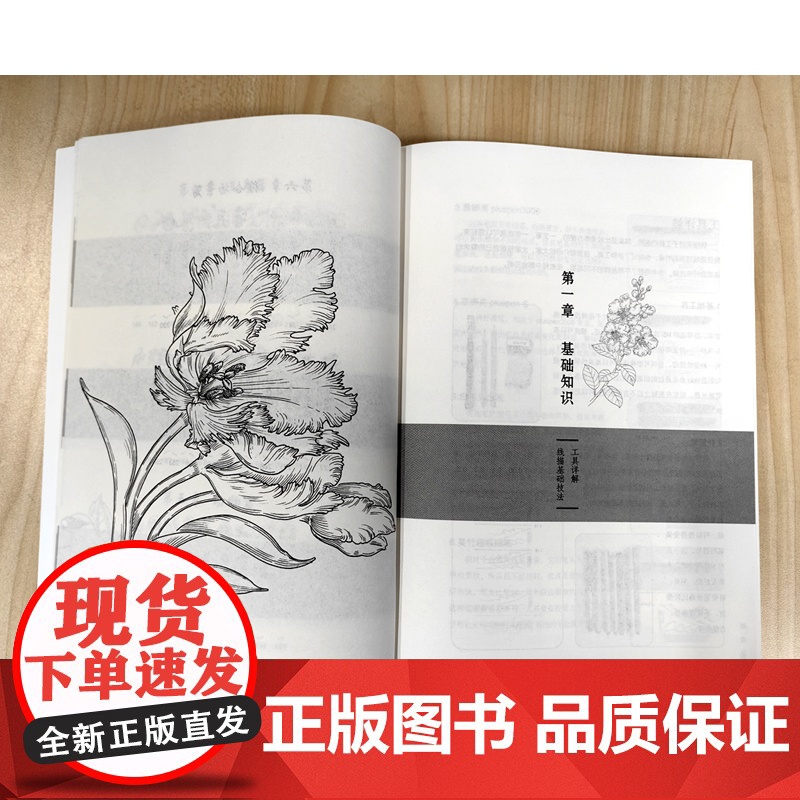 随书附赠视频讲解 墨语绘 100种唯美手绘线描技法 手绘线条构图技法造型结构 手绘步骤图解 花鸟植物手绘插画设计零基础教高清大图