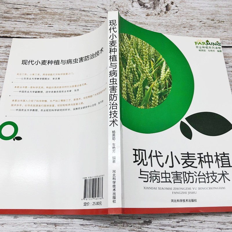 [正版]现代小麦种植与病虫害防治技术农业种植标准化生产优质品质选择播种管理施肥与创新技术冬小麦安全储存技术病虫害防治方法高清大图