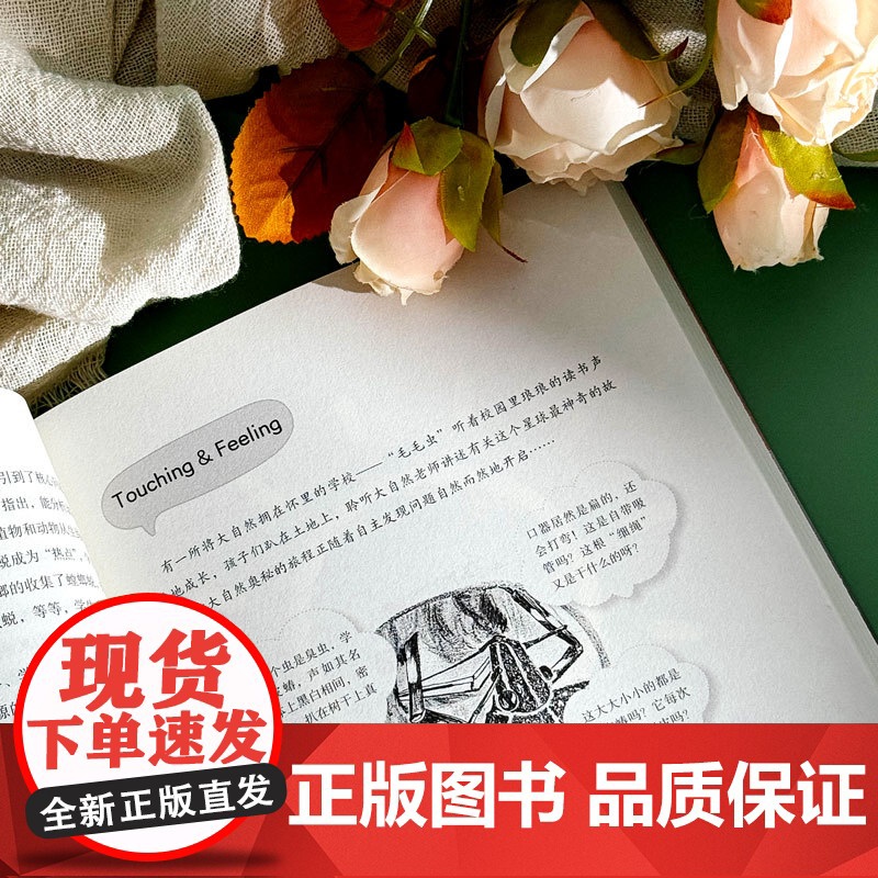 与自然触碰 小学科学问题化学习 问题化学习丛书 自然科学教育 华东师范大学出版社高清大图