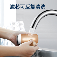路易伯爵)净水器自营家用 水龙头过滤器 自来水净水机厨房净化器滤水器 LYLT-002