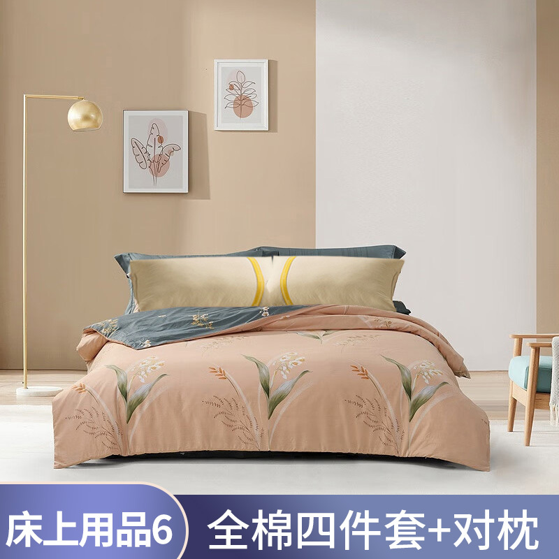 床上用品套餐6:水星家纺全棉四件套+对枕