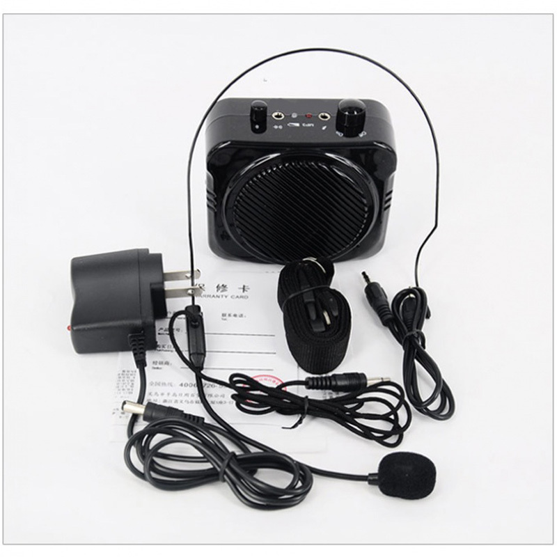 Philips 随身携带收音扩音器 小蜜蜂 黑色(JC)