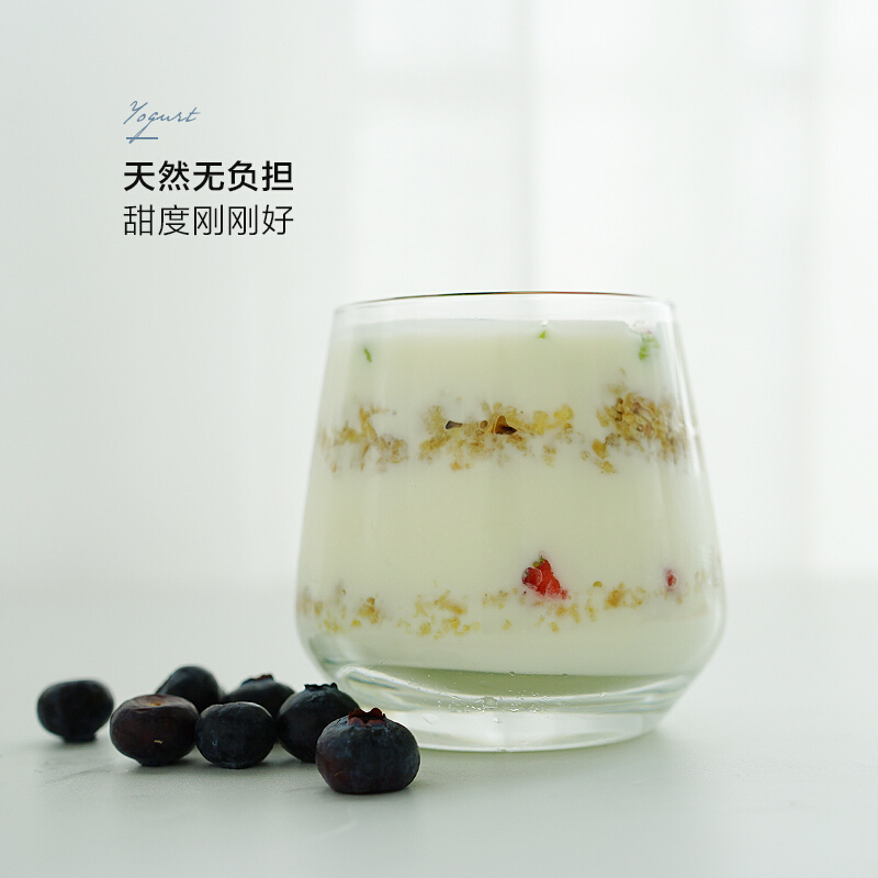 北鼎(Buydeem) 酸奶粉 无添加酸奶粉 原味酸奶粉 盒/100g 原味