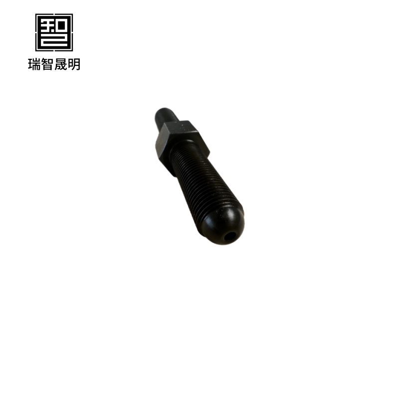 瑞智晟明(RZSM)高压油嘴105.5×19×13mm高清大图