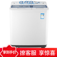 （乡镇可到）小天鹅 (LittleSwan) TP85-S955/8.5公斤大容量 双缸洗衣机 双桶洗衣机 半自动家用