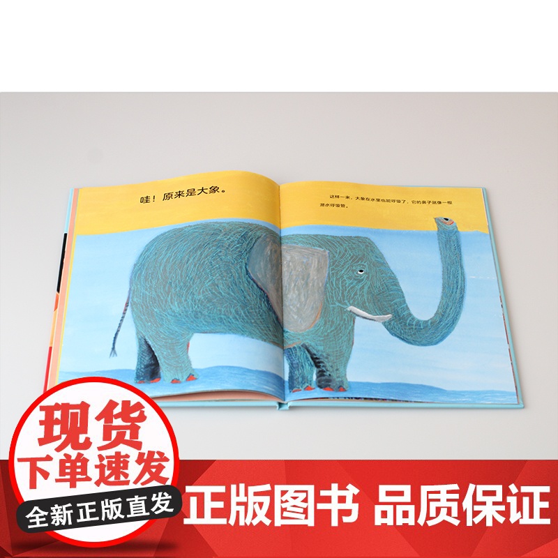 魔法象·呼吸 (日)中川宏贵/著 (日)北村裕花/绘 季颖/译 4-6岁 绘本 儿童科普 生活科普 呼吸 广西师范大学出高清大图