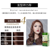 菲灵(FEELING)菲灵香艳染发膏 4号深棕红色