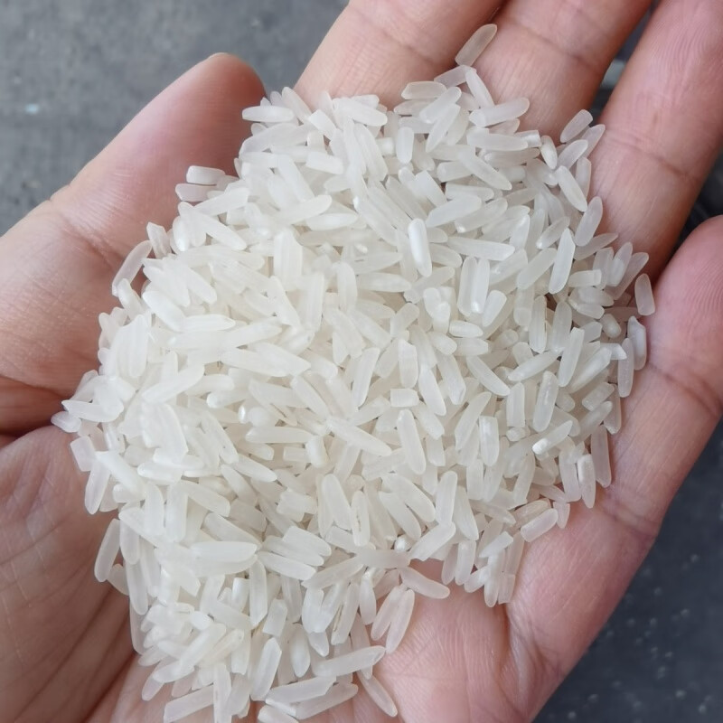 桂企乐 丝苗米 25kg 单位:袋(限定南宁)
