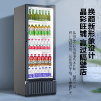 海尔(Haier)展示柜冷藏保鲜柜家用立式冰柜商用大容量冷柜商超便利店啤酒饮料柜SC-339J