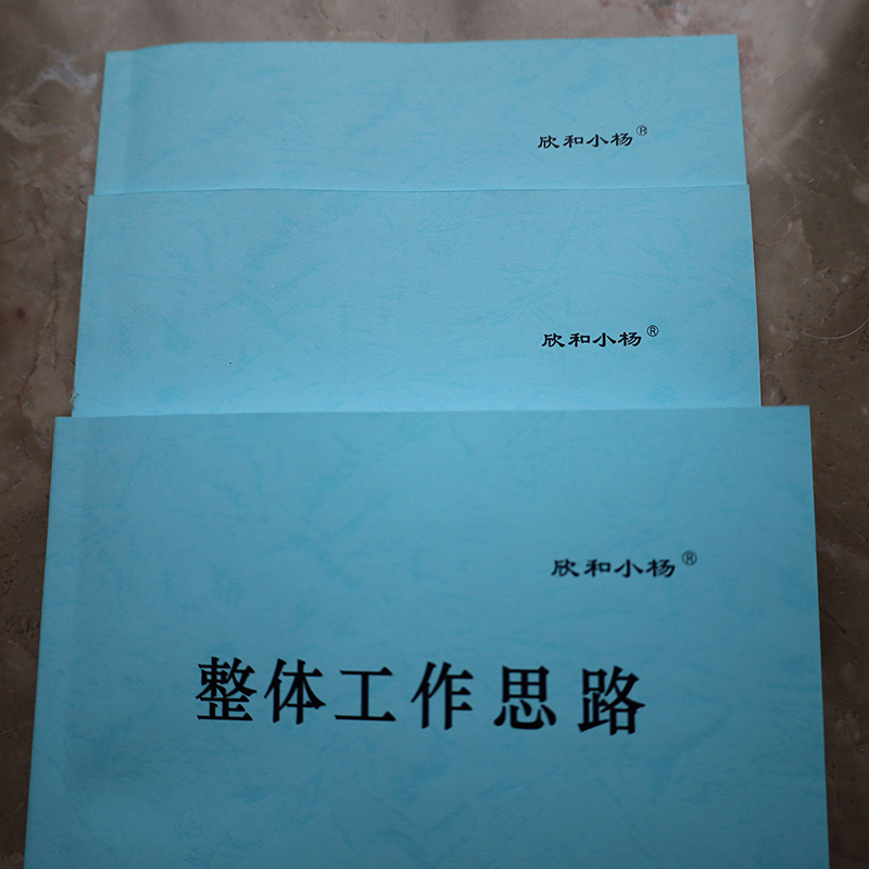 欣和小杨 定制整体工作思路 210x297mm (单位:本)高清大图