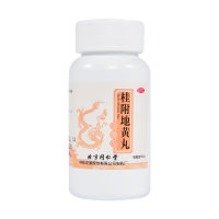 同仁堂 桂附地黄丸(水蜜丸)360丸 温补肾阳不足腰膝痠冷痰饮喘咳