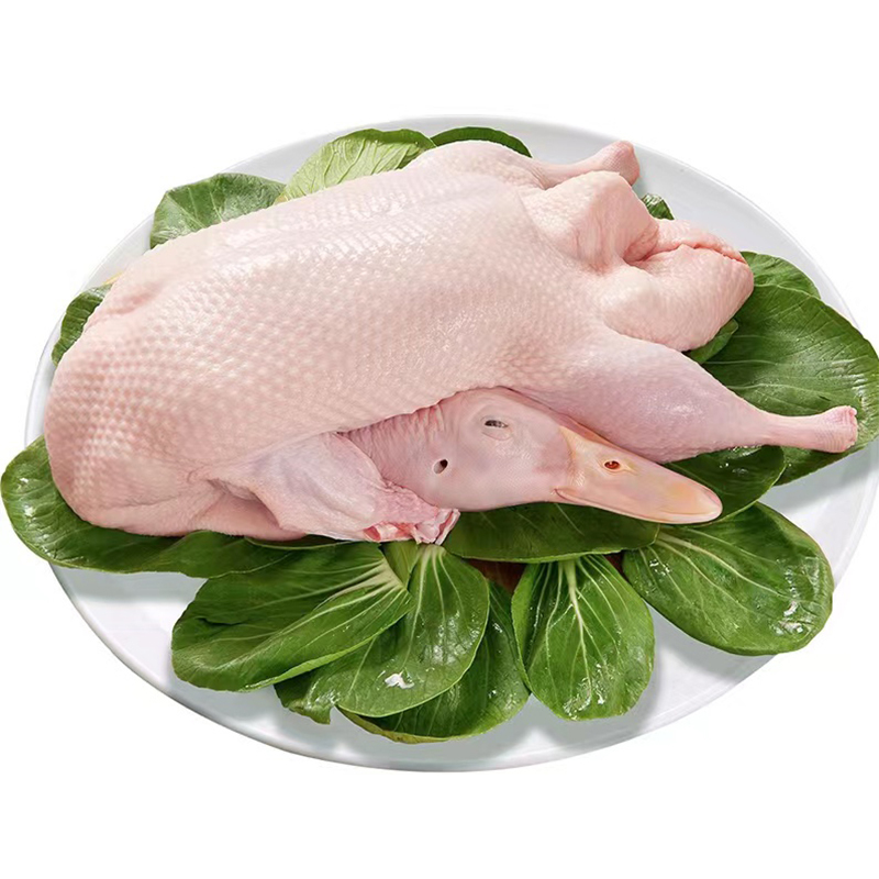 广西散养华兴土鸭白土鸭净重45斤土鸭鲜鸭同城速配48小时送达