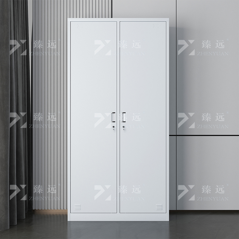 臻远ZY-GYGB-1铁皮更衣柜员工柜寄存包柜鞋柜 2门更衣柜高清大图
