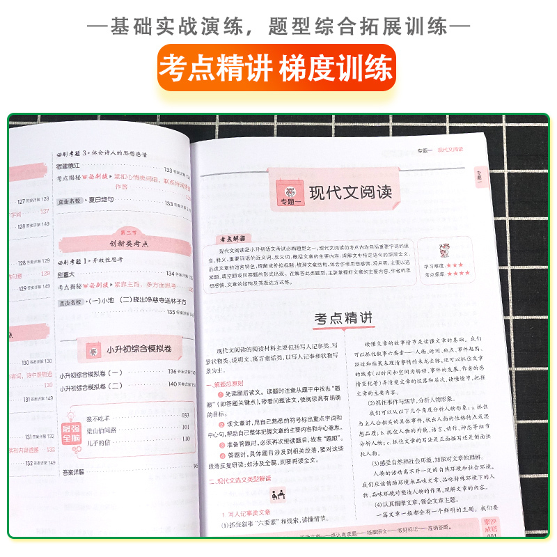 100篇 语文阅读题 小学升初中 [正版]全脑训练 小升初必刷100篇语文阅读题 小学语文阅读训练辅导练习册 小学六年级