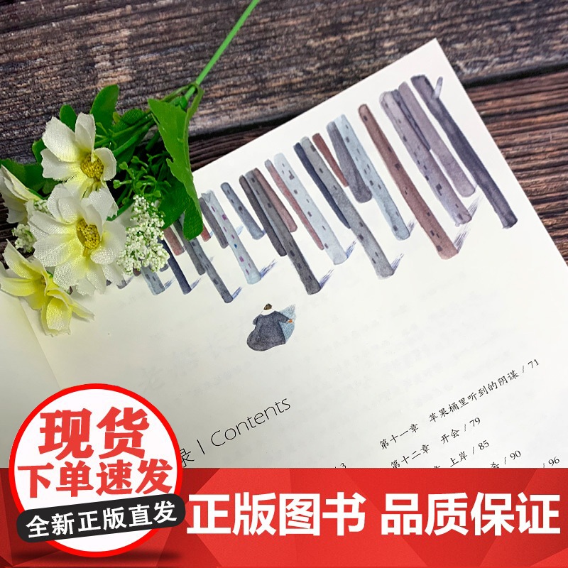 金银岛 手绘彩插珍藏版(英)罗伯特·路易斯·史蒂文森 著 徐晓红 译 张帆 绘WX高清大图