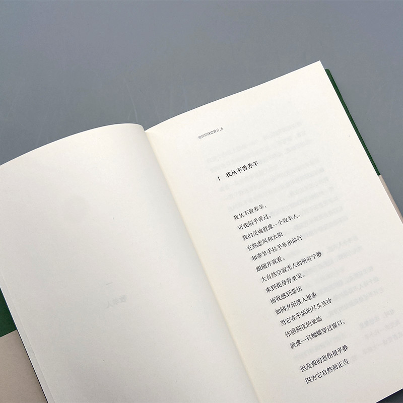 醉染图书坐在你身边看云(巴别塔诗典系列-精装本)9787020127658高清大图