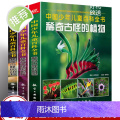 3册 稀奇古怪的植物+动物+地方 儿童动物百科全书大百科全套 6-12岁青少年版全套彩图少儿童书二三四年小学生奇妙的幼妙