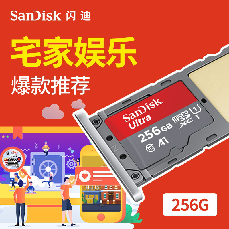 闪迪256G内存卡