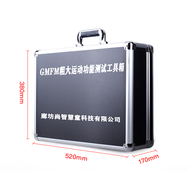 尚智慧童SZHT-GMFM01 GMFM粗大运动测试量表工具箱早教教具高清大图