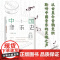 中国音乐史:一部梳理中国音乐发展历程的学术经典 9787511748287 中央编译出版社 王光祈 2025-03